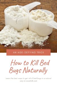 ecostalk how to kill bed bugs naturally pinterest pin