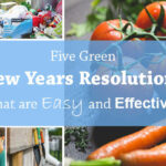 green new years resolutions