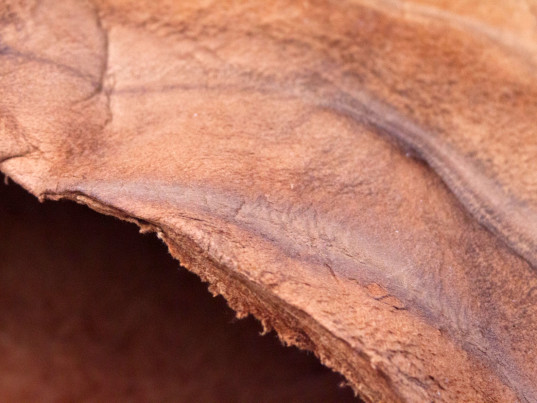 muskin leather close up