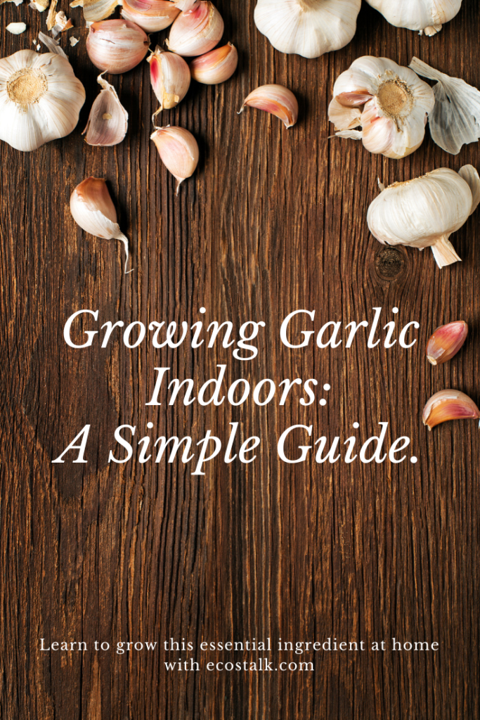 Growing garlic indoors a simple guide pinterest pin