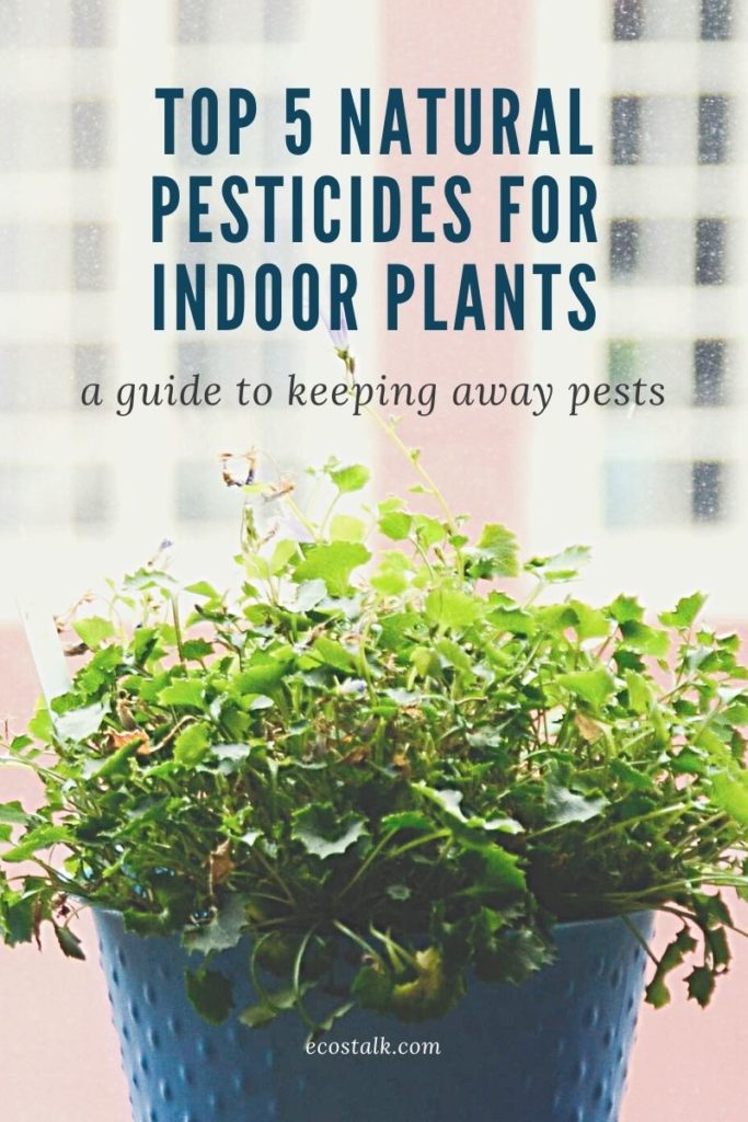 natural pesticides for indoor plants
