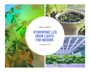 best hydroponic grow lights header