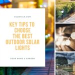 best outdoor solar lights