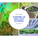 best hydroponic grow lights