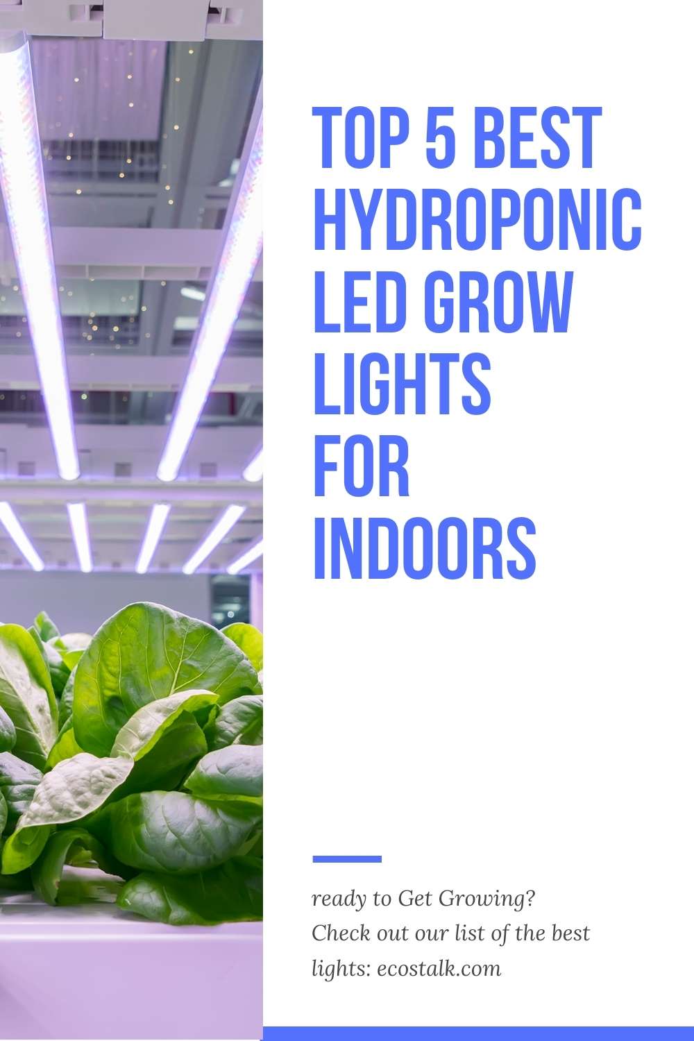 best hydroponic grow lights pinterest