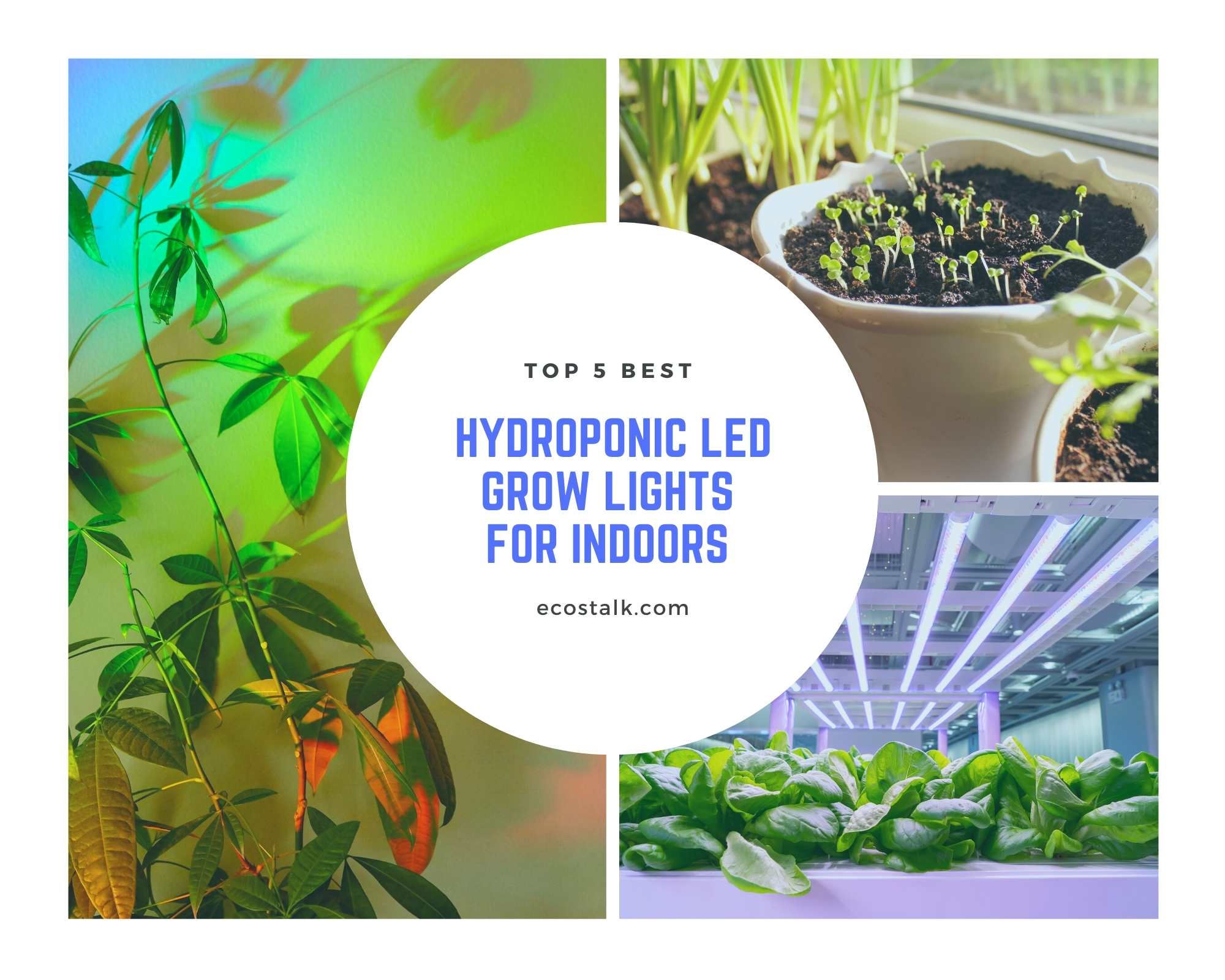 best hydroponic grow lights