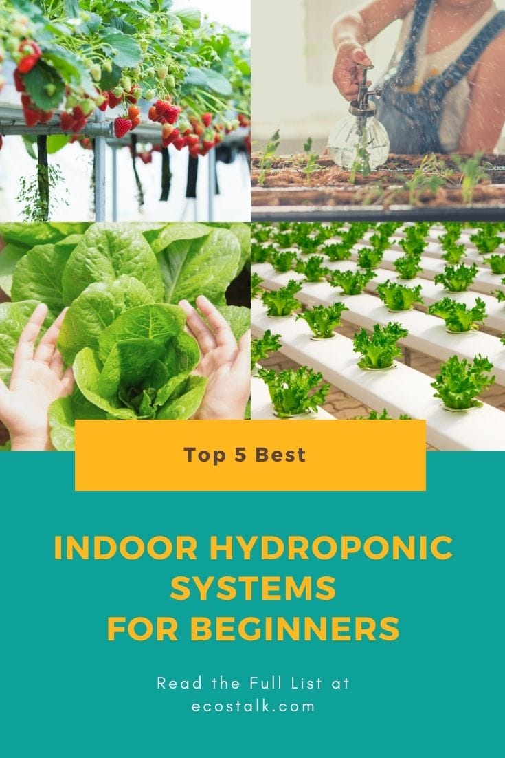 best indoor hydroponic systems for beginners pinterest
