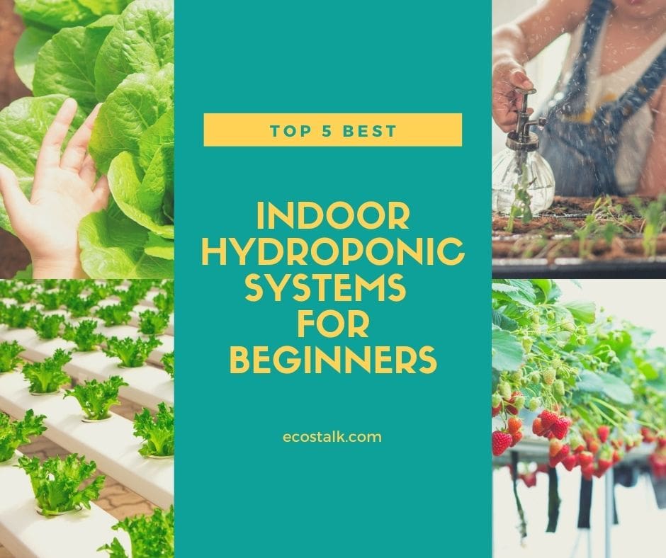 best hydroponic systems for beginners